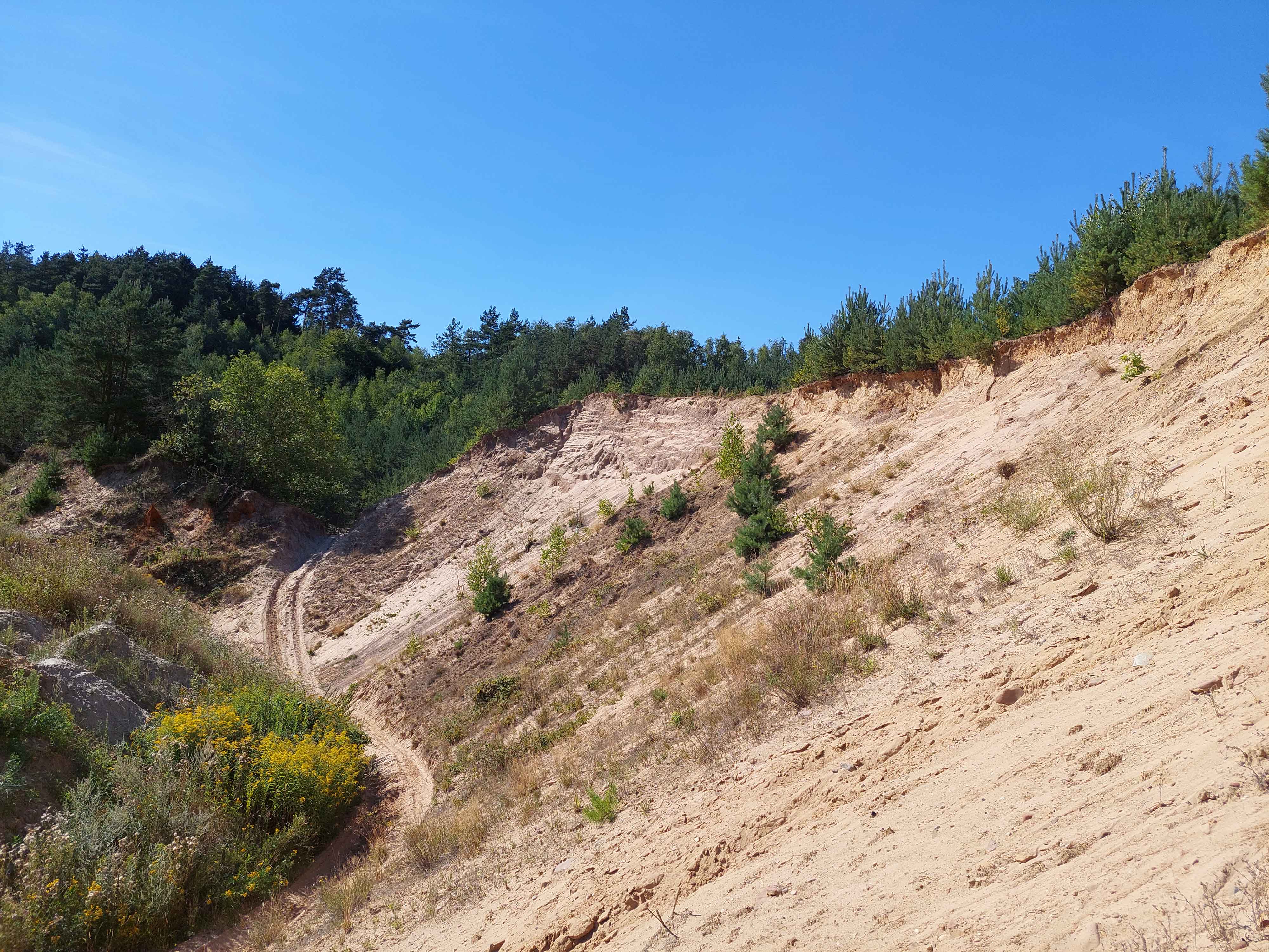  Sandgruben