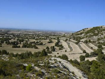 Los monegros