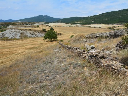 Agrarlandschaft