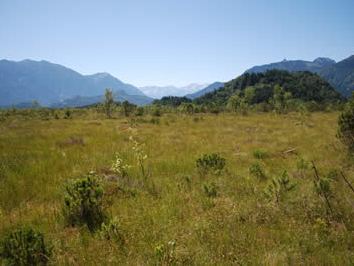 Hochmoor