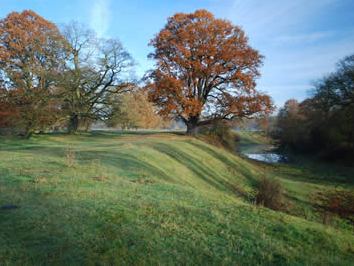 Alte Hudeweide