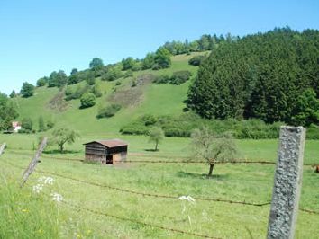 Wulsenberg