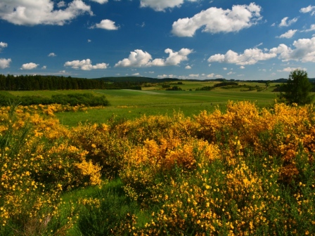 Kulturlandschaft Raubwuerger