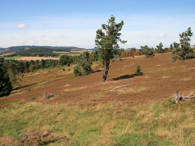 Rothaargebirge