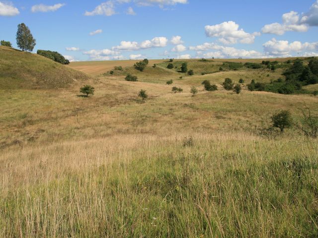 Uckermark